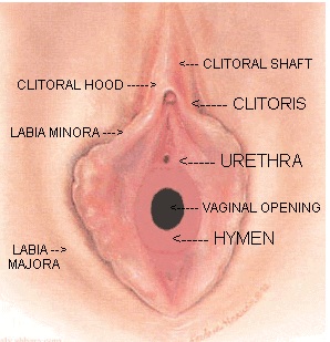 Virgin Pussy Hymen Tiny Hole
